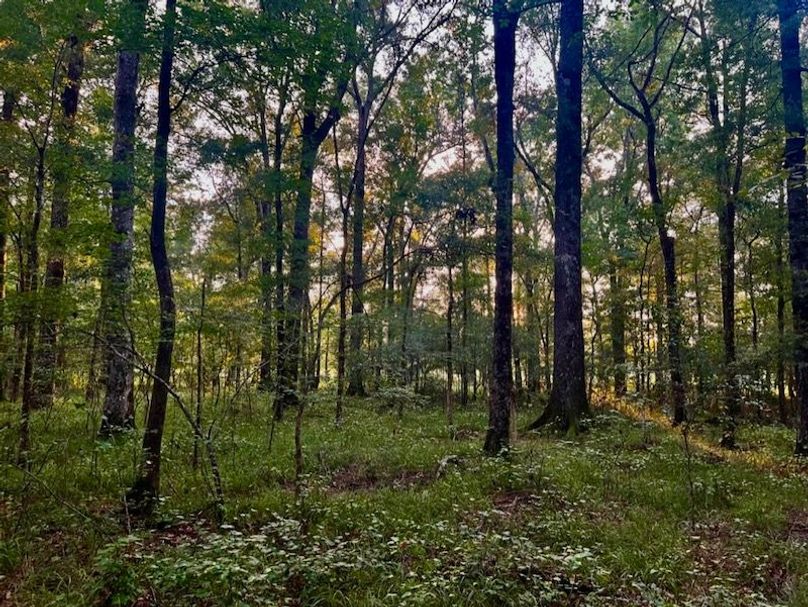 A0B766B6-EFFD-4E0C-AC76-D568F21A4416_1_105_c