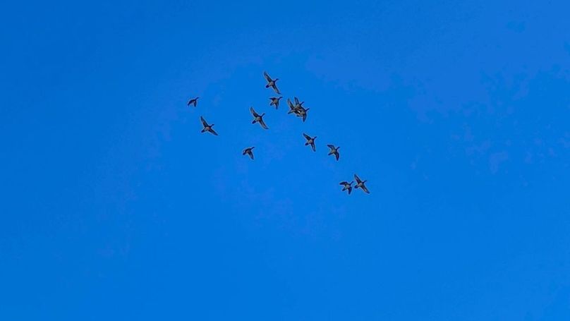 untitled-3