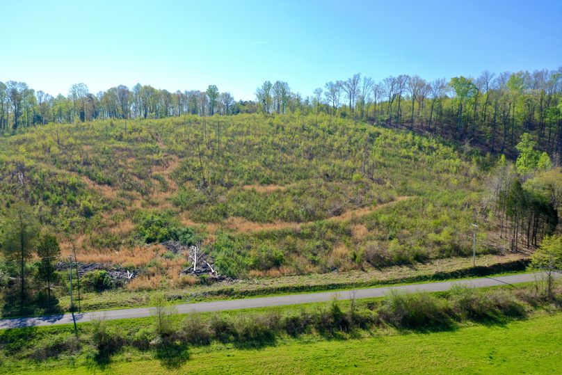 DJI_0595
