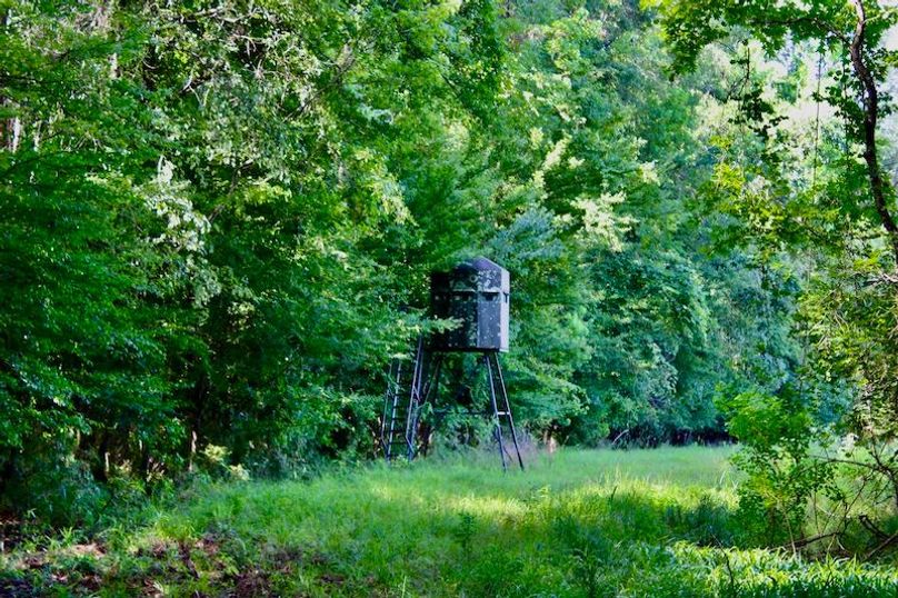 96D08CC7-6D4F-4971-8C84-C5BF177711E5_1_201_a