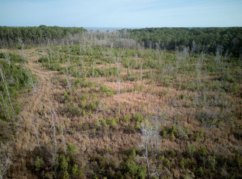 DJI_20240227082540_0010_craven60