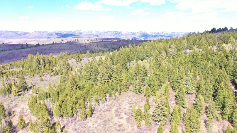 DJI_0734 (2)