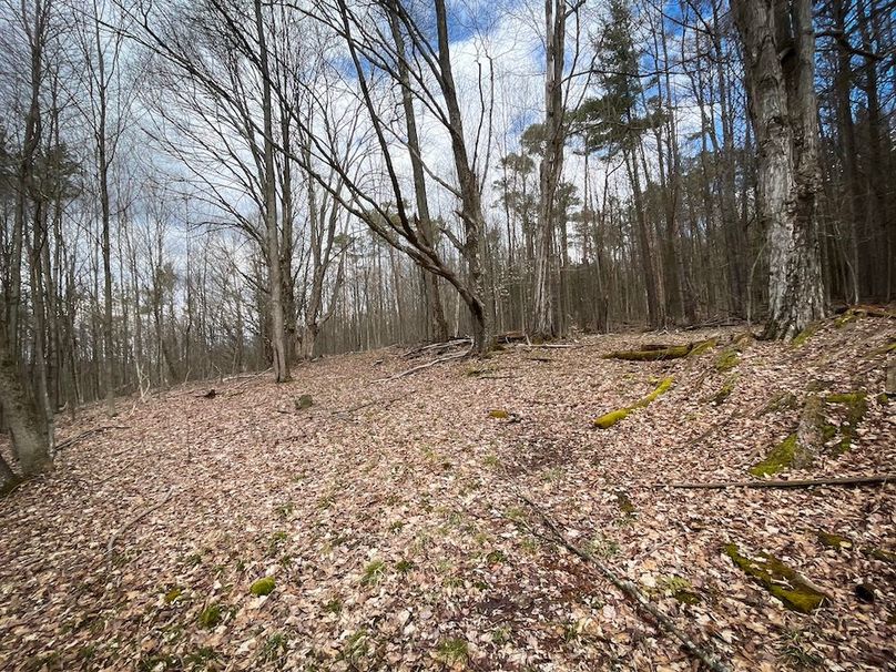 Tioga__NY_109.7_Burris_Photos_65