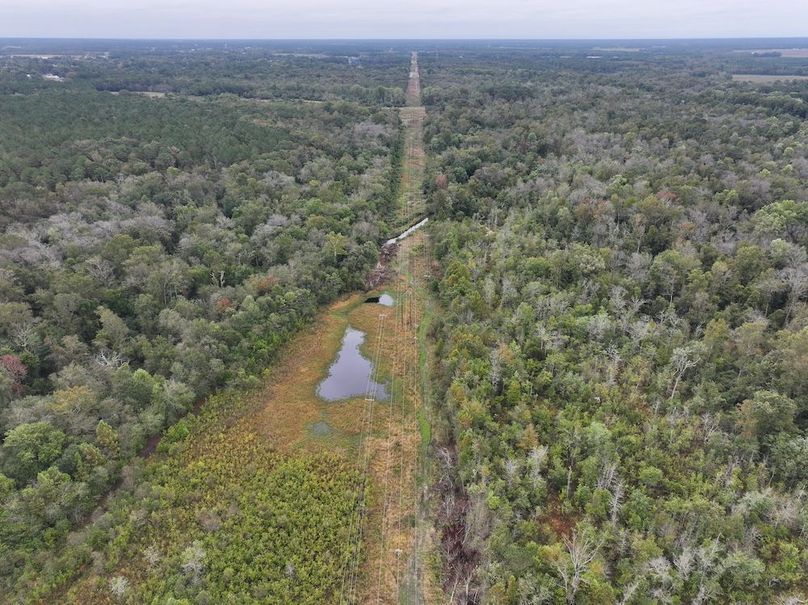 DJI_20251015091948_0151_D