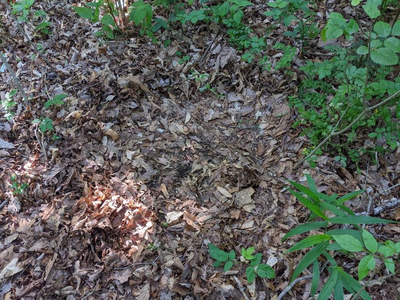 PXL_20230602_133547453