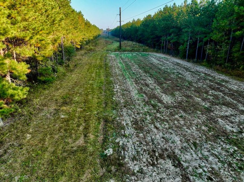 EBE3DE01-2878-4769-94C1-3F5CA1FF1D72_1_201_a