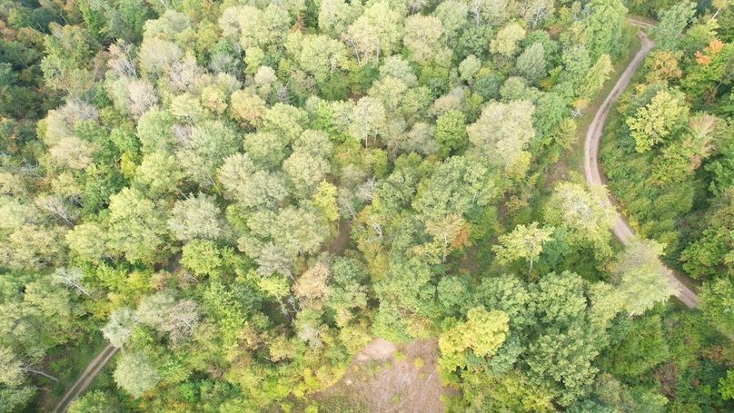 dji_fly_20240919_092030_674_1726752717383_photo