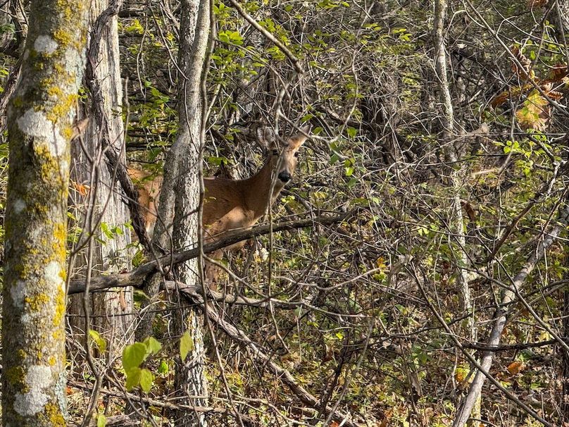 Houston 24.97 Updated-34