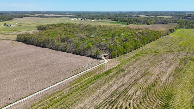 DJI_20250423125051_0392_D