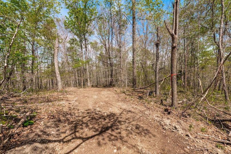 64-web-or-mls-0 Mound Creek Rd-34
