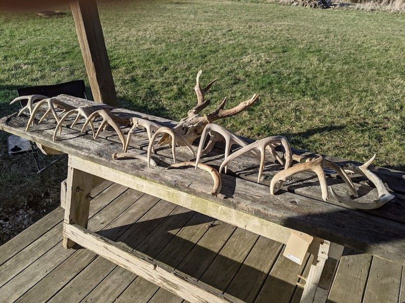 PXL_20210320_223110903