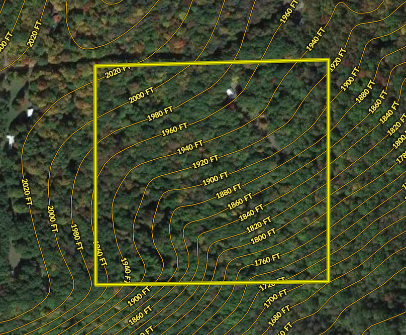 Screenshot 2024-08-27 at 11.14.15 AM