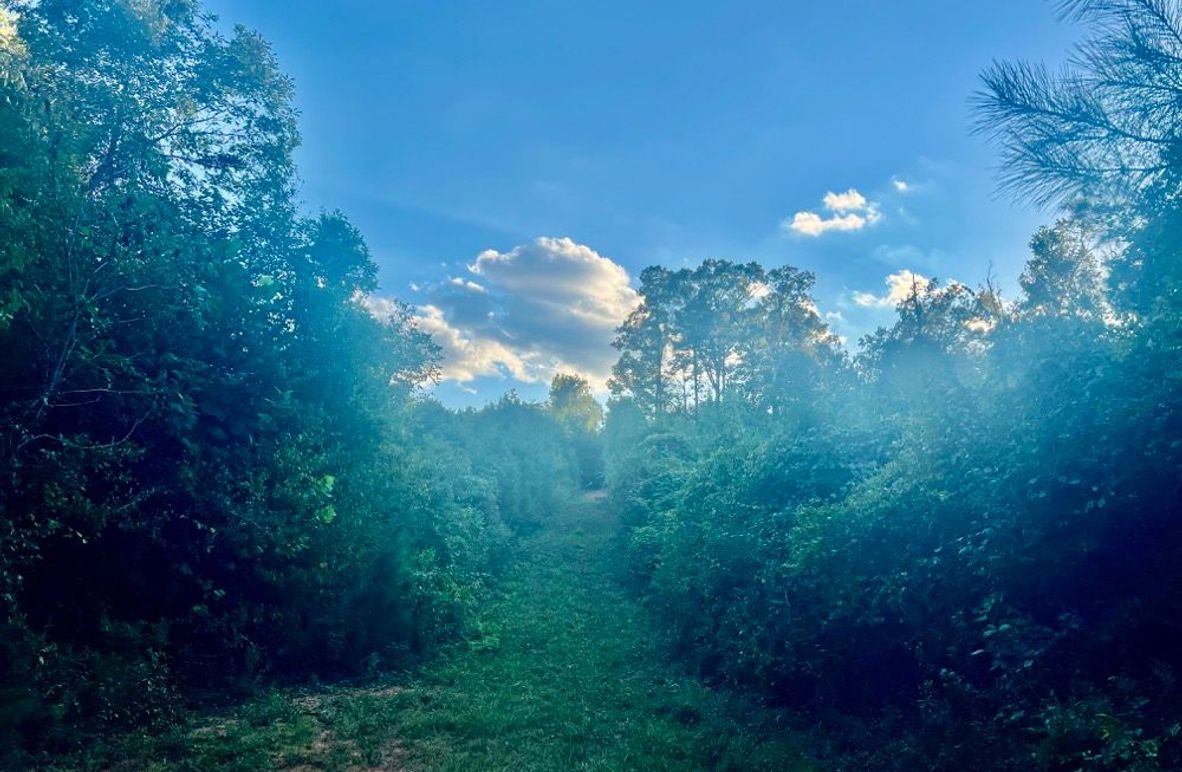 14E67911-A3C7-425F-A0E4-7FE405AD0598_1_201_a