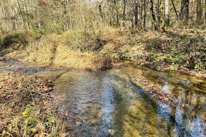 19 Creek 08