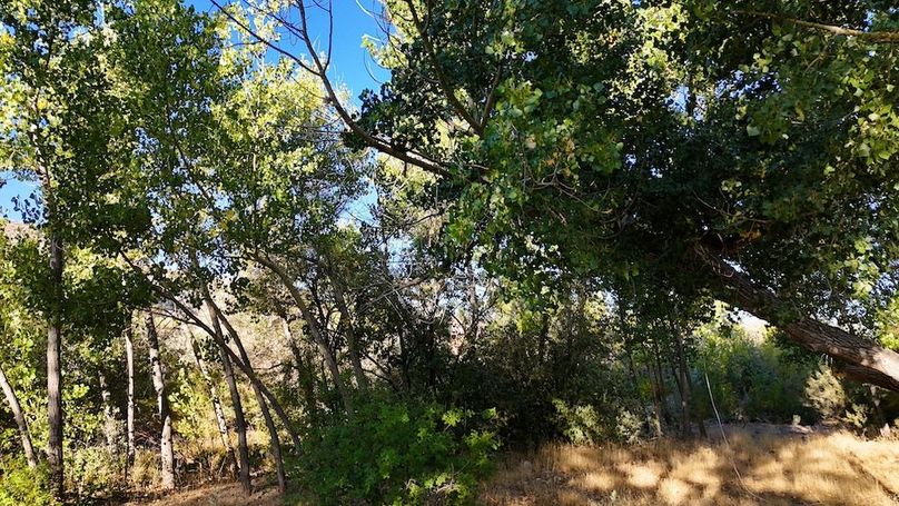 Salina Creek Acreage with Water Rights16