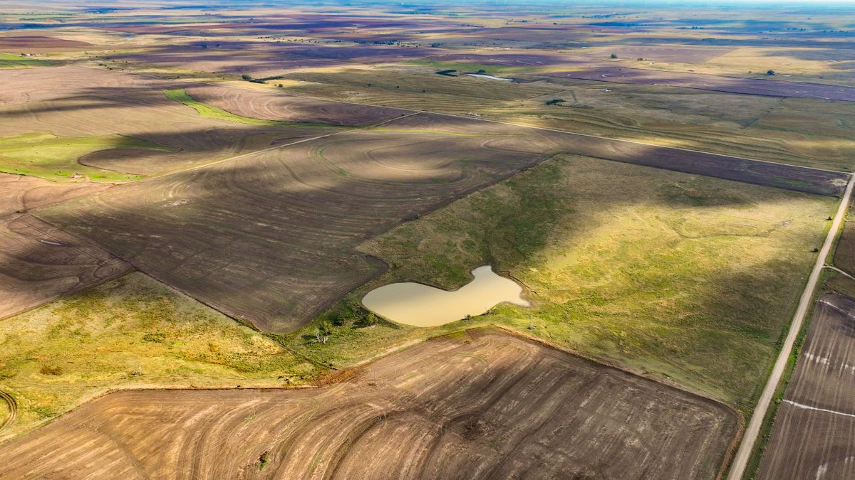 Western KS Crop And Grassland With Nice Pond Whitetail Properties