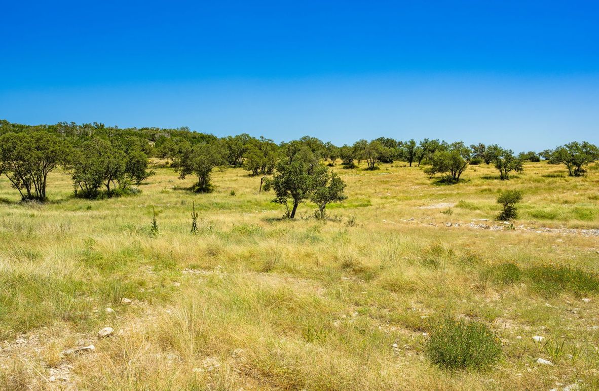 1-web-or-mls-DSC08579