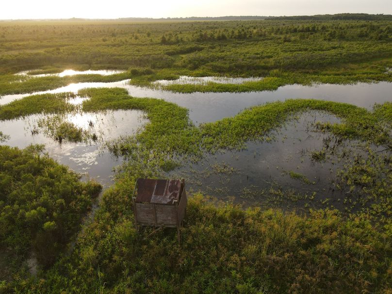 0FA3EBA9-9DED-46DD-9A28-14924A713A6A_1_102_o