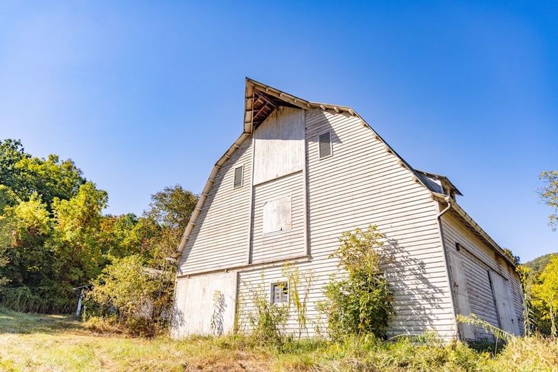 Copy of 146A2658 Large