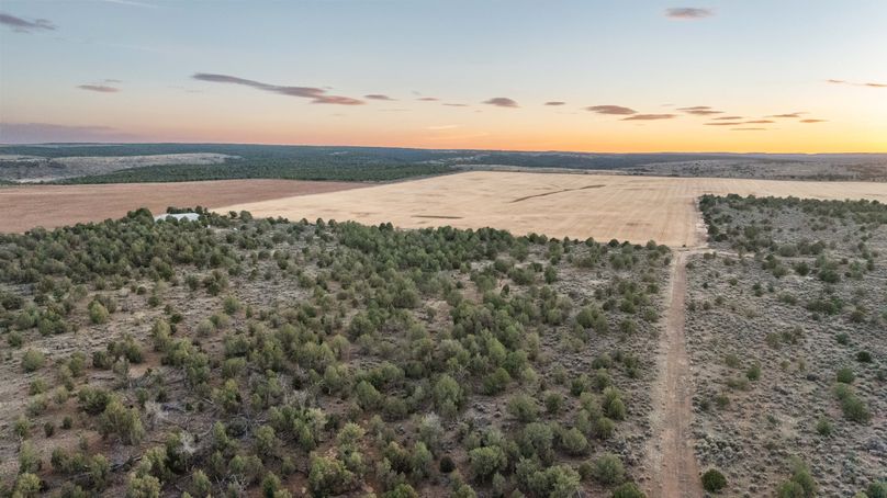 DJI_0394_1