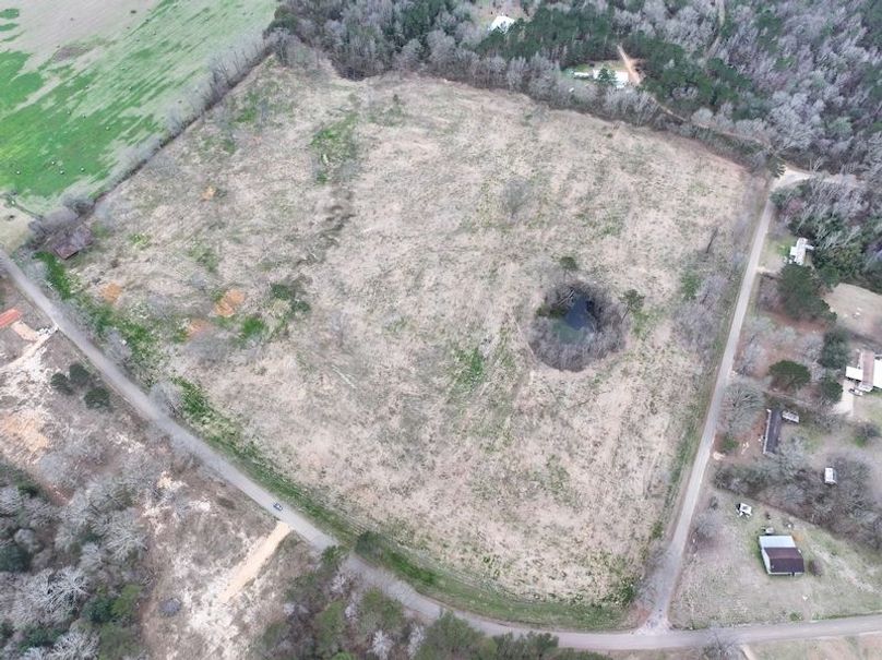 Copy of Copy of dji_fly_20260217_143430_0148_1771436906224_photo