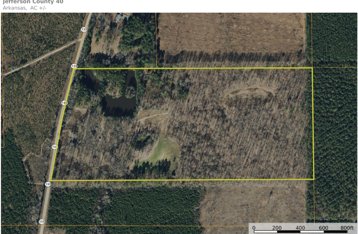 Screen Shot 2025-11-12 at 7.01.28 PM