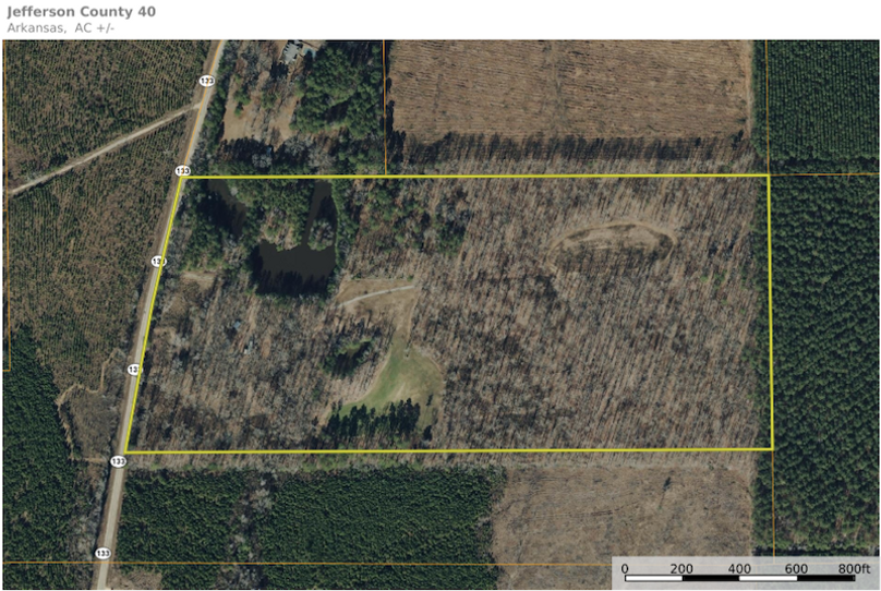 Screen Shot 2025-11-12 at 7.01.28 PM