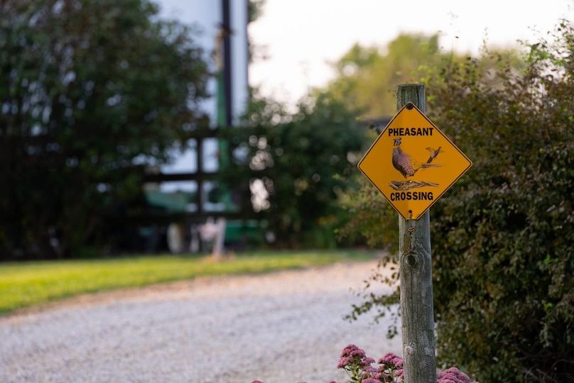 Cedar IA 152 Featured G1