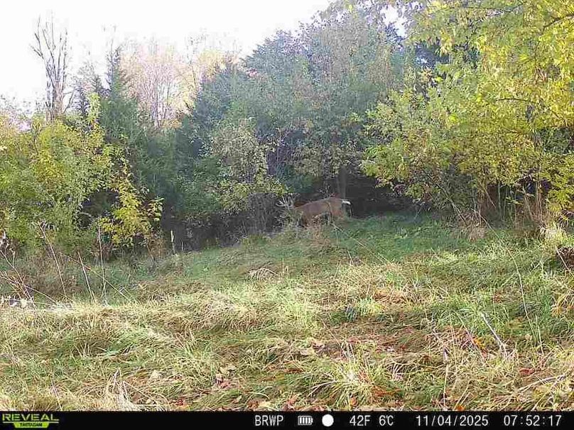 860322065924133-100-4-11042025075216-W1000521