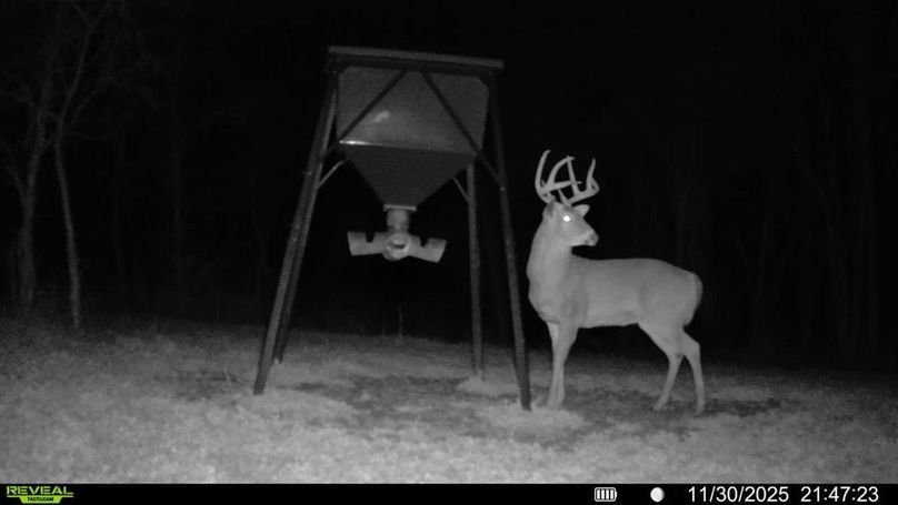 deer pic 13-2