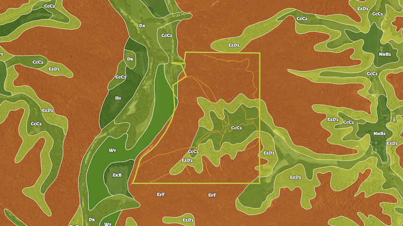 Screenshot 2025-07-15 095519