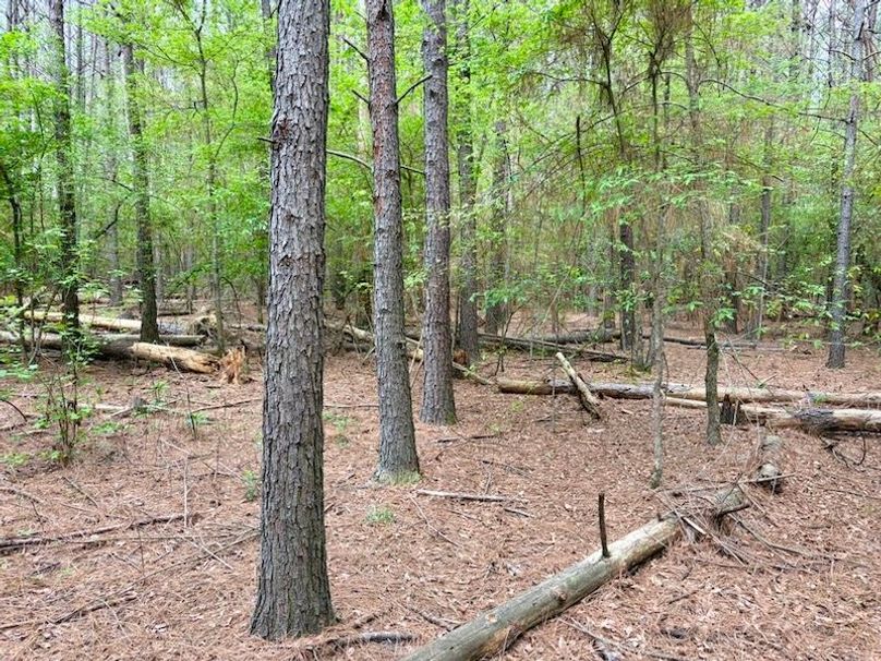 35272EE1-1267-411C-8E11-EE068134A810_1_105_c