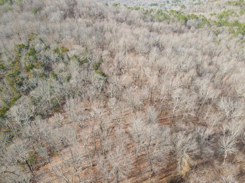 DJI_0655