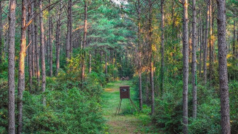 DJI_20250918174834_0175_D