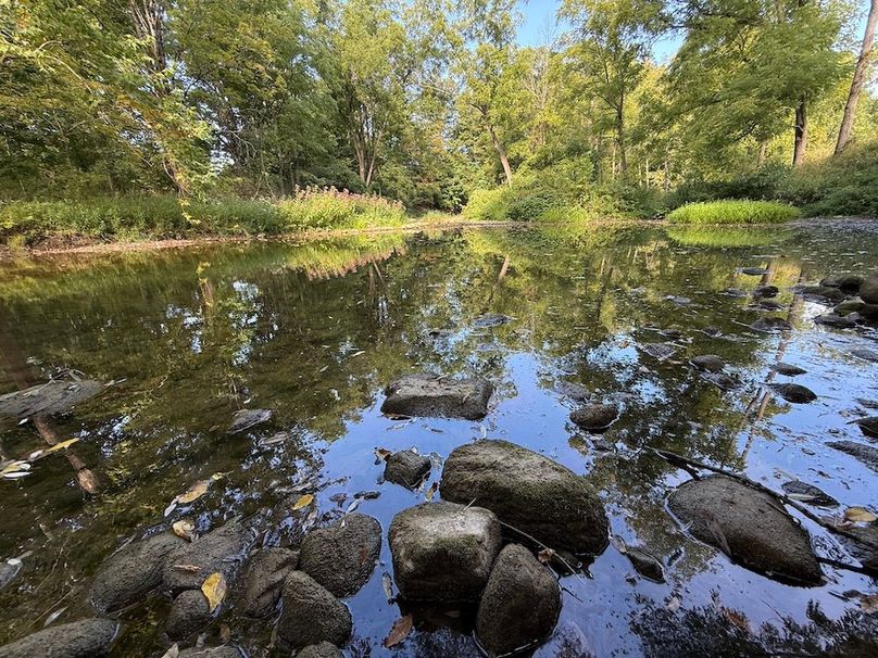 Cayuga_5.7_Cotten Photo 1