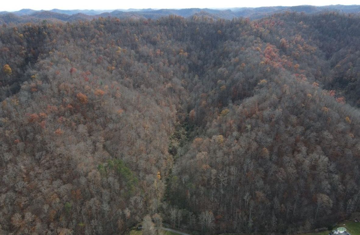 003 Elevated Center Shot of the Hollow 1