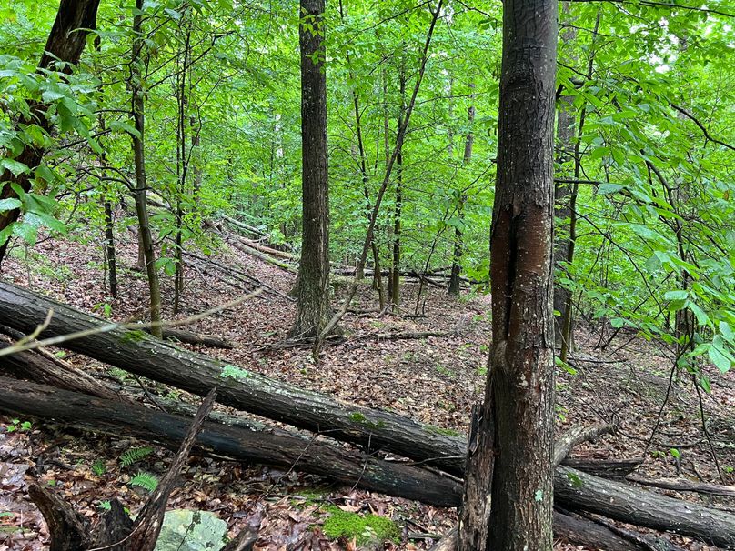 Wirt, WV 150.75 AC Tinnell-33