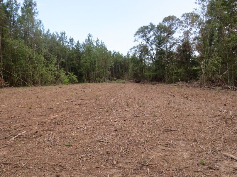 CDD5BFB9-3469-4436-B315-7302ADCE643E_1_105_c