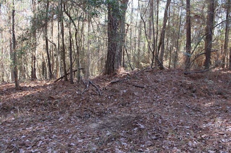 454101D2-1746-4E80-A384-AAEFA9B675AC_1_105_c