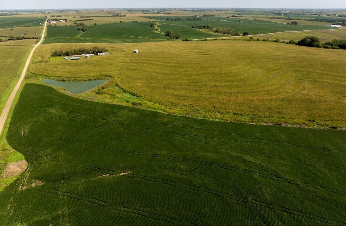 DJI_20250822112930_0054_D