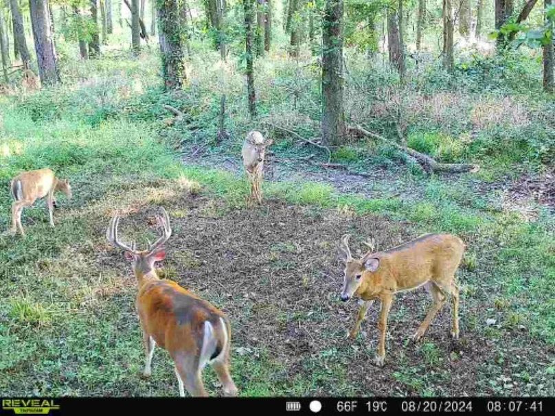 860322064793737-90-4-08202024080740-W1000298