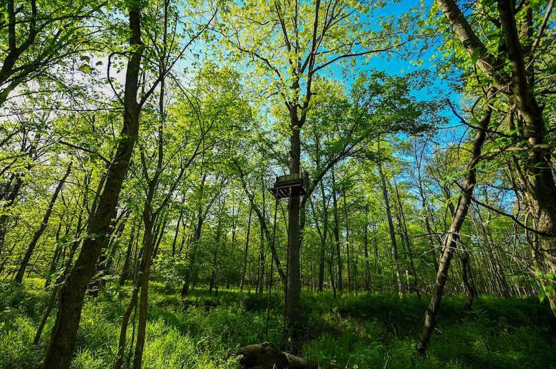 vandalia 450 (2)-3047