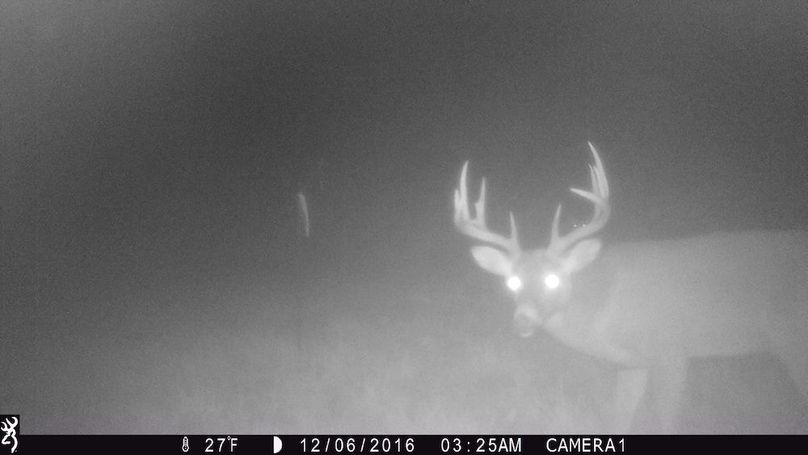 Copy of greene92 trail.17