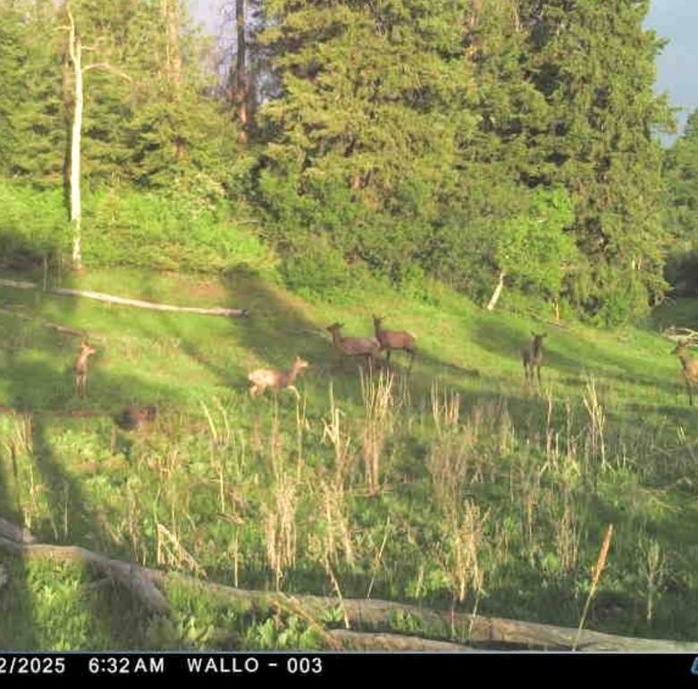 71CA4179-5DCE-4CE2-825A-6D0E331F7B9B