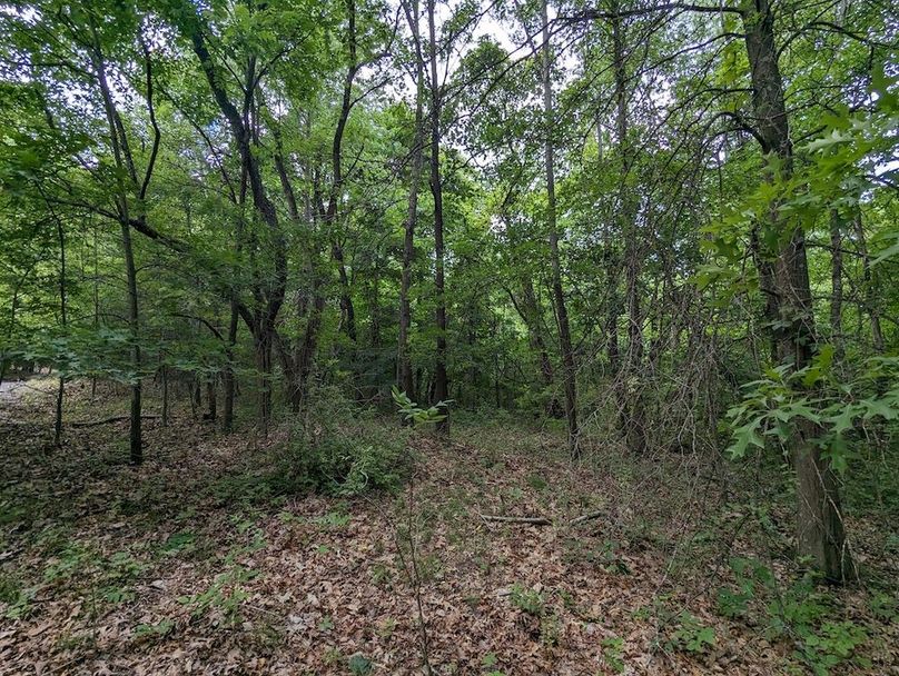 PXL_20240607_185113463