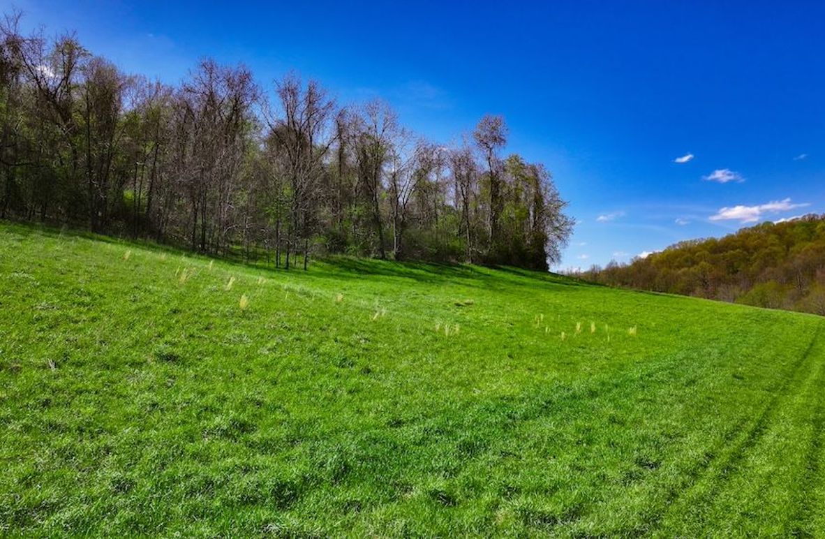 DJI_20250425035636_0395_D