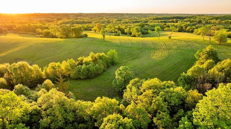 Harrison Grand Trace-26