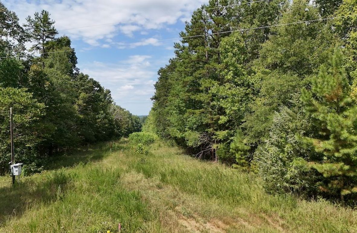 DJI_20250728112014_0137_D