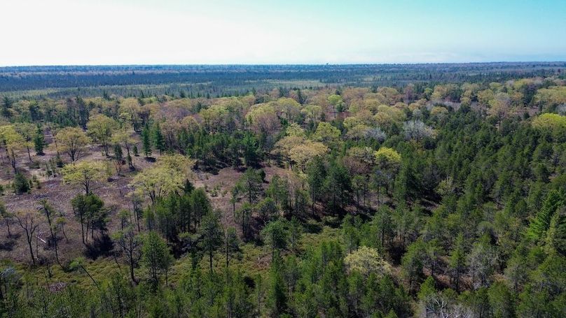 DJI_0105