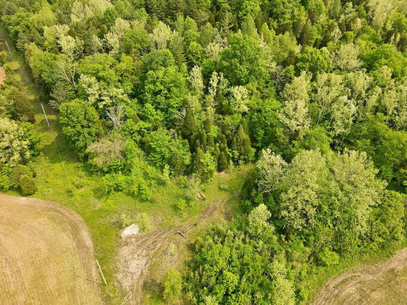 dji_fly_20230517_100800_387_1684336094081_photo